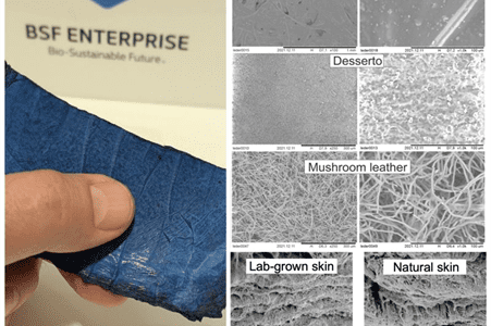 Is Artificial Leather Really the Answer?