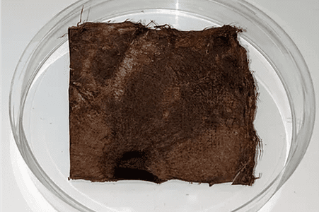 BSF Enterprise’s Lab-Grown Leather Sets a New Standard in Sustainable Fashion