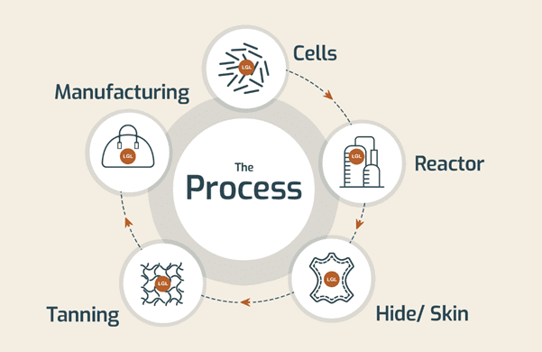 3D Bio-Tissues and Lab Grown Leather Ltd (LGL) is setting a new standard for sustainability in the fashion industry