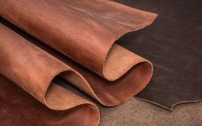 Sector Growth for Lab-Grown Leather