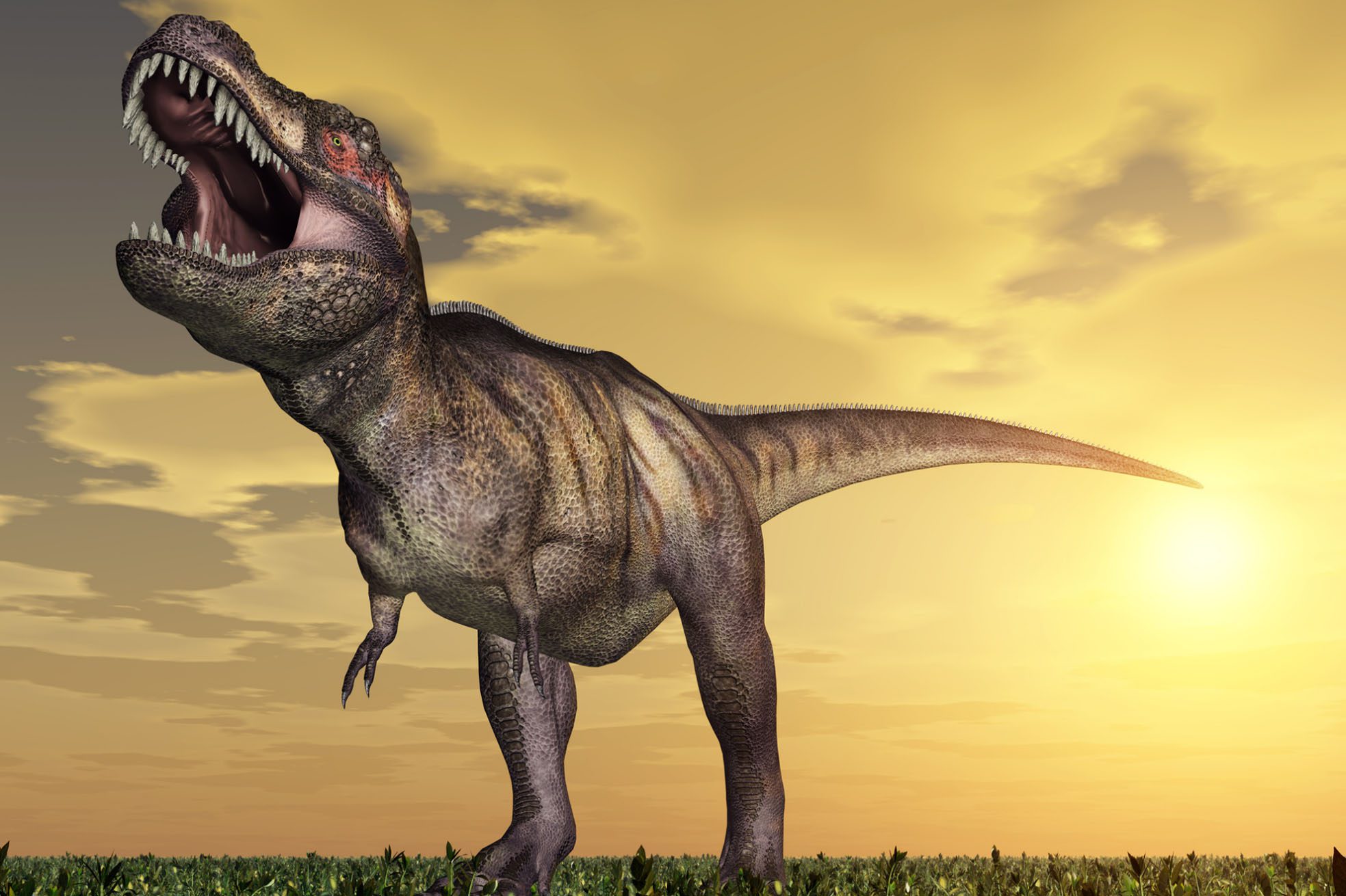 t-rex-home