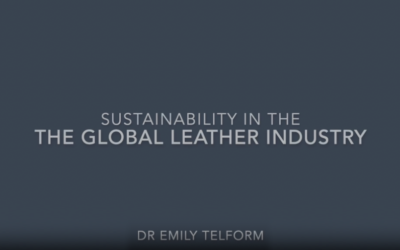 We Went Back 68 Million Years to Solve Leather’s Plastic Problem