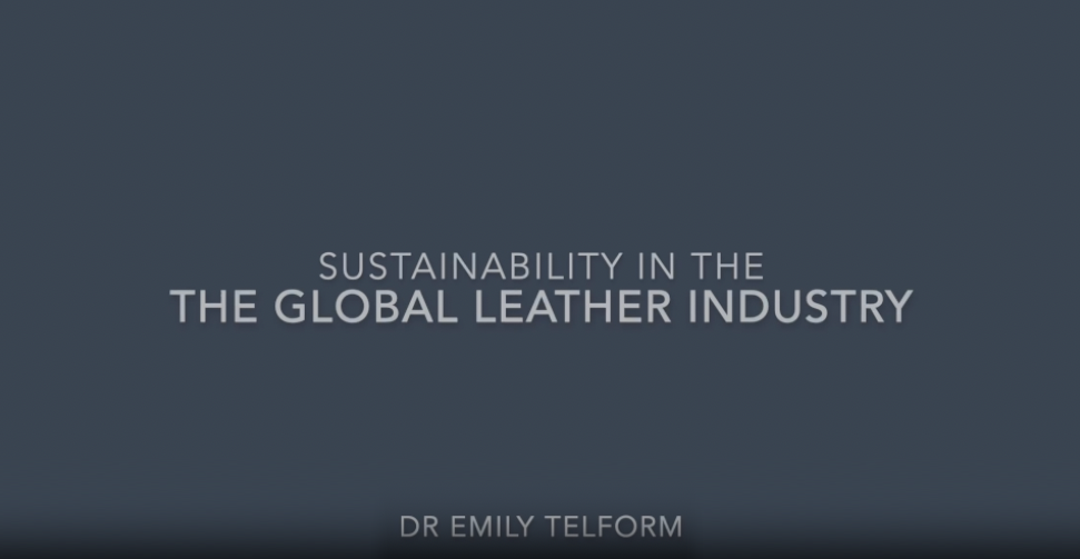 We Went Back 68 Million Years to Solve Leather’s Plastic Problem